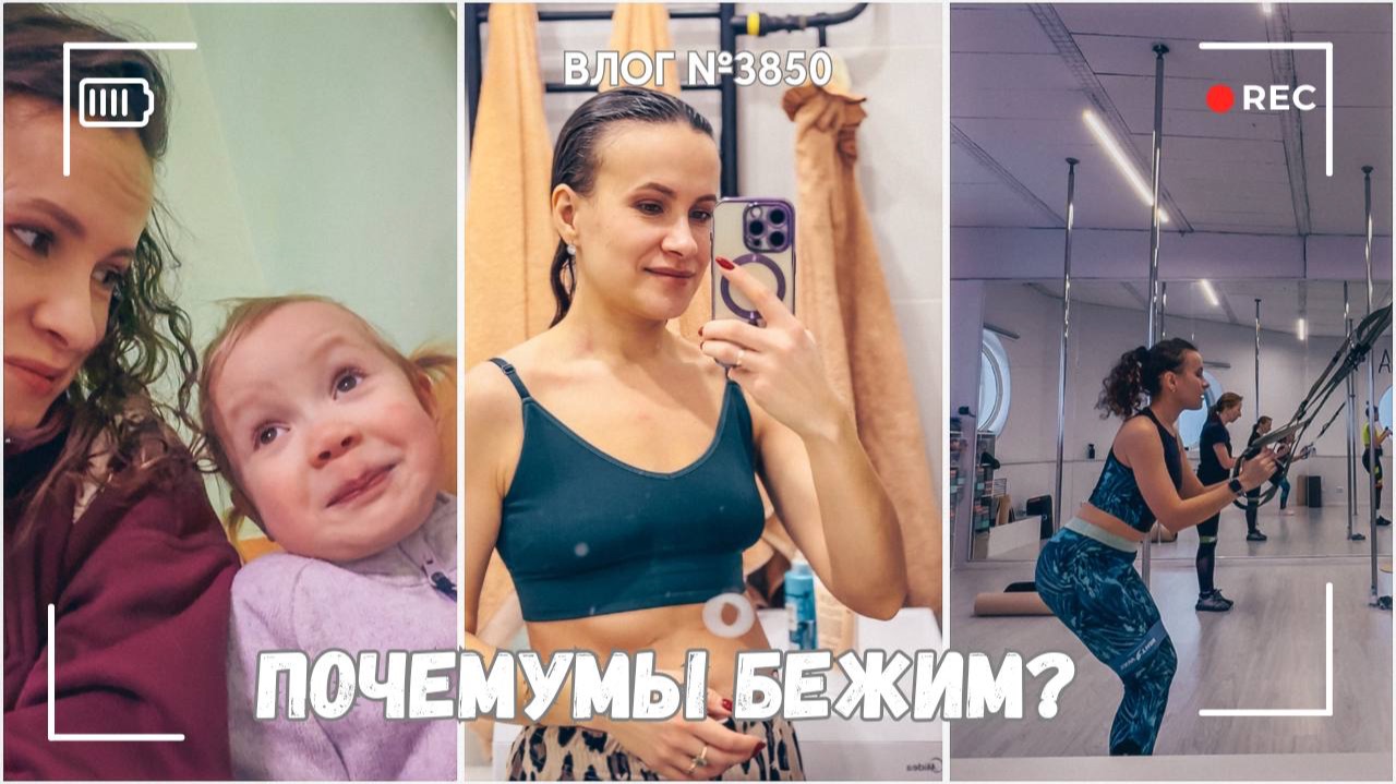 Отличное начало недели! | Убойная тренировка - ВЛОГ №3850 - 09.02.26 смотреть онлайн