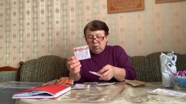 Съездила семенной в магазин, набрала семена овощей, на 2026 год.