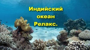 РЕЛАКС в Индийском ОКЕАНЕ! Снорклинг на рифе. Отдых на Занзибаре. Танзания.
