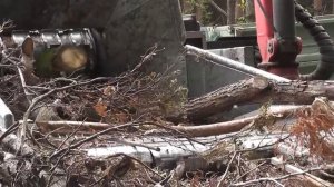 Измельчитель Дерева в Деле 🔥