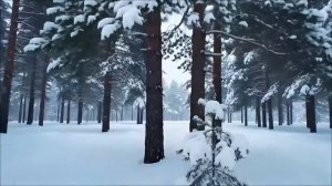 11 Февраля - Важно сделать на удачу.