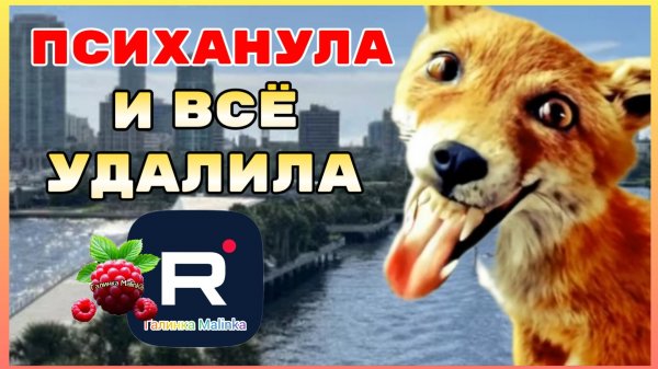 Лиса в Америке _Психанула и всё удалила _Обзор _Funny 4 _Big Big Family _Сельчанка в Америке