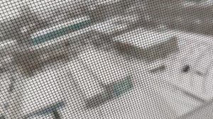 Новый питомец?!! 😱🤯😘