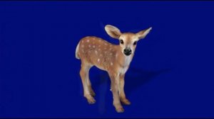 олененок 01_encoded