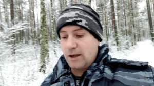 О еде, диете и шагах