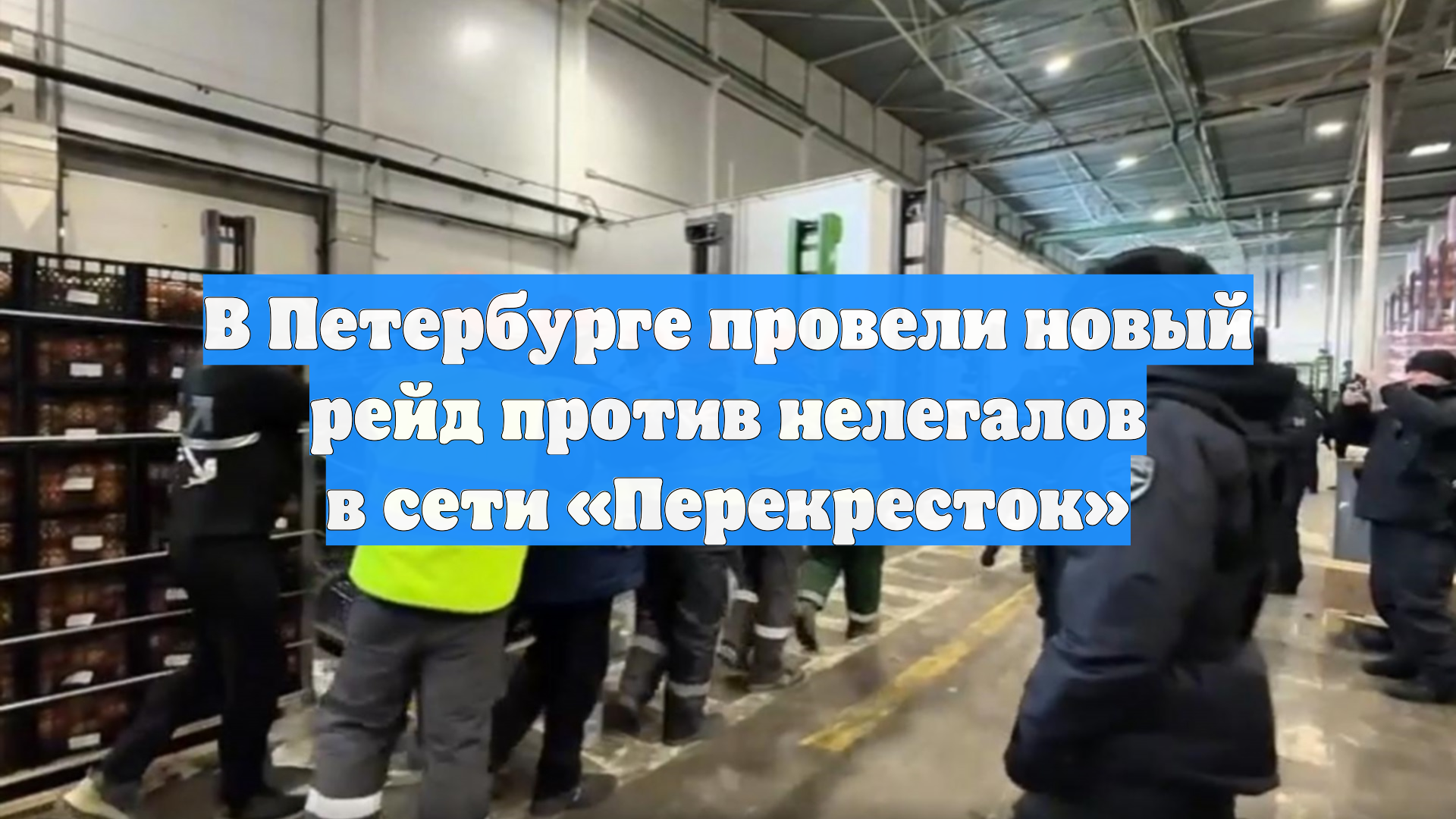 В Петербурге провели новый рейд против нелегалов в сети «Перекресток» смотреть онлайн