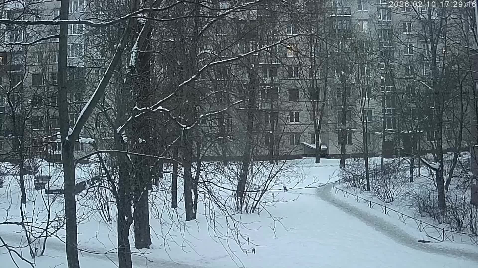 вид из окна, СПб смотреть онлайн