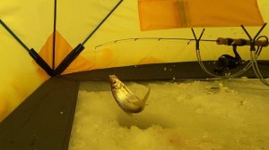 САМАЯ ЛУЧШАЯ СНАСТЬ НА ПЛОТВУ