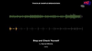 GNARLS BARKLEY — BLINDSPOT