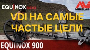 Equinox 900. VDI на самые частые цели. #поискмонет #монеты #equinox900 #equinox #minelab #55