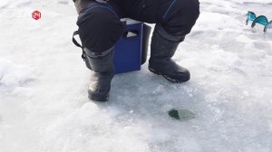 Репортаж телеканала "Дон 24" посвящённый Дню Зимней Рыбалки и мой дебют на телевизоре)))