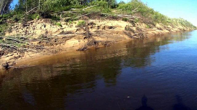 Лето, солнце щука)) смотреть онлайн