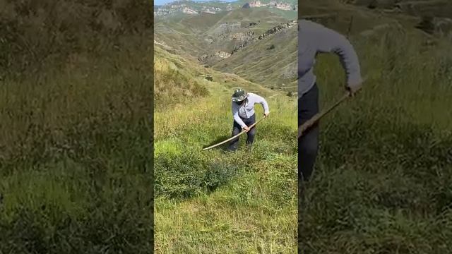 Каримула Гусейнов смотреть онлайн