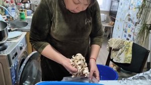 Опять зима .Отправили яйцо .Жизнь на Кубани.