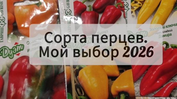 Какие сорта перца я посажу в сезоне 2026