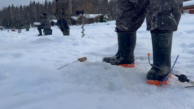 Видеообзор с водоёма. Поимки форели на актив и на пассив. смотреть онлайн