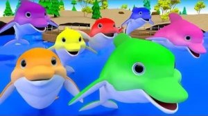 Цвета для изучения детьми с мультяшными дельфинами Color Water 3D Kids Малыши учат цвета