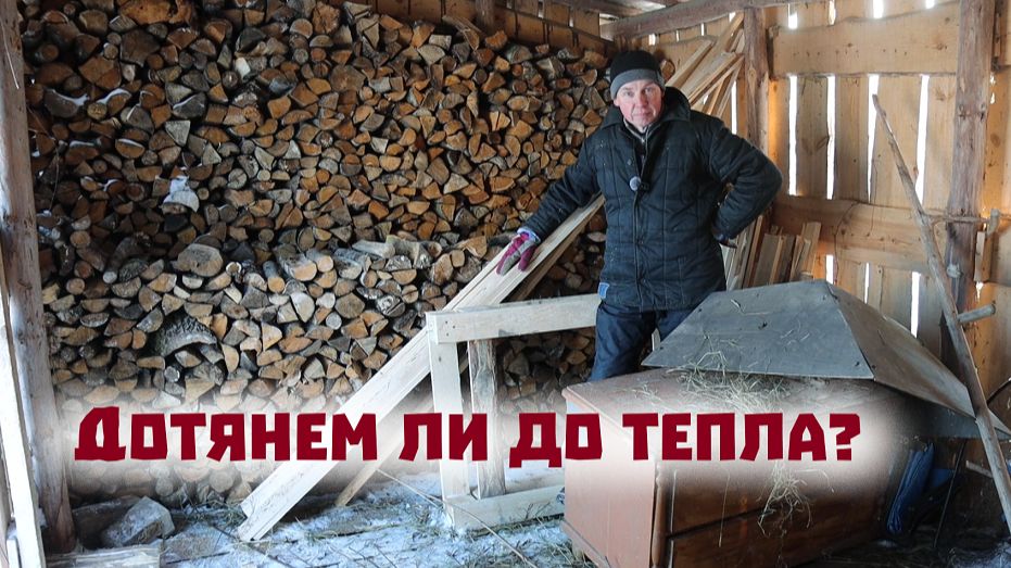 Дровяной кризис в городе и деревне: как дотянуть до тепла? смотреть онлайн