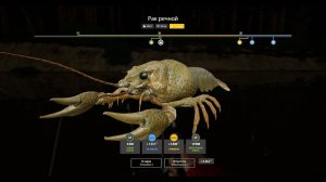 РАЗДАЧА РАКОВ НА ВЬЮНКЕ, ФАРМЫ НА МЕДНОМ И МОРЕ ОБЗОР ВОДОЕМОВ РУССКАЯ РЫБАЛКА 4 РР4