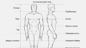 Рисуем человека. Пропорции тела