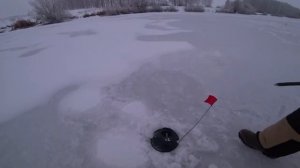 ОСТАВИЛ ЖЕРЛИЦЫ НА НОЧЬ В ДИКОМ ОМУТЕ И ЗАДОЛБАЛСЯ... Рыбалка на опасном льду.