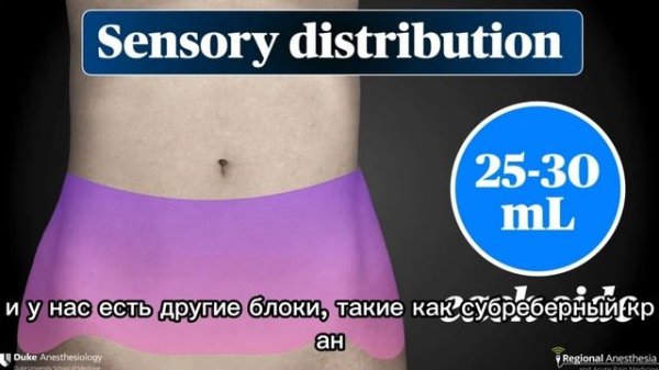 Самый правильный ТАР блок + TAP tips