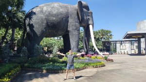 НА ОГРОМНОМ СЛОНЕ !!!