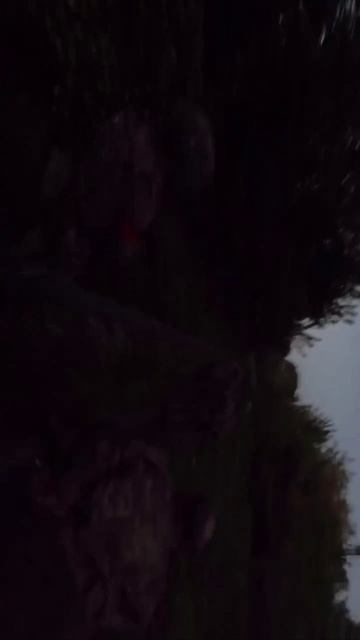 Архивный видос с курской области смотреть онлайн