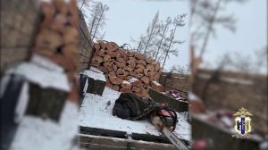«Черные лесорубы», спилившие 25 лиственниц и 42 березы, задержаны полицией в Хабаровском крае