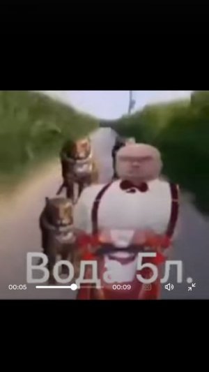 Хз 64.