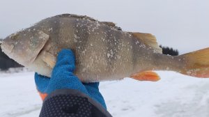 Рыбалка в Хантах март 2023год