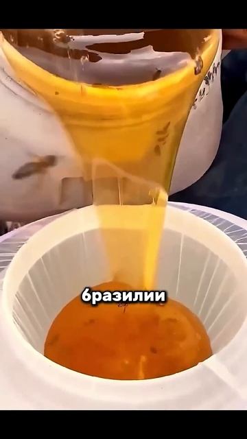 Самый дорогой мёд в мире смотреть онлайн