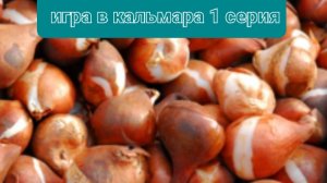 игра в кальмара 1 серия