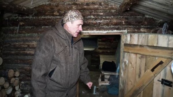 Живу в тайге. Добыл лося. Охота с подхода.