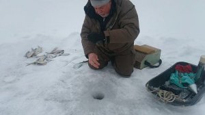 Рыбалка 10 февраля.