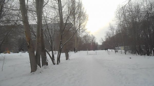 ОТВЕЧАЕМ НА КОММЕНТАРИИ.КУПИЛИ САЛО