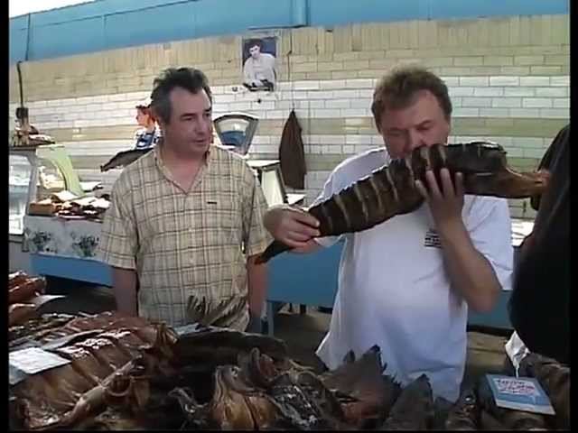 Анатолий Полотно и Федя Карманов - фильм 