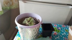 Жизнь в деревне.🏡 Мотивация на уборку.