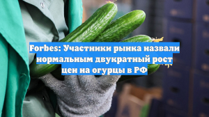 Forbes: Участники рынка назвали нормальным двукратный рост цен на огурцы в РФ