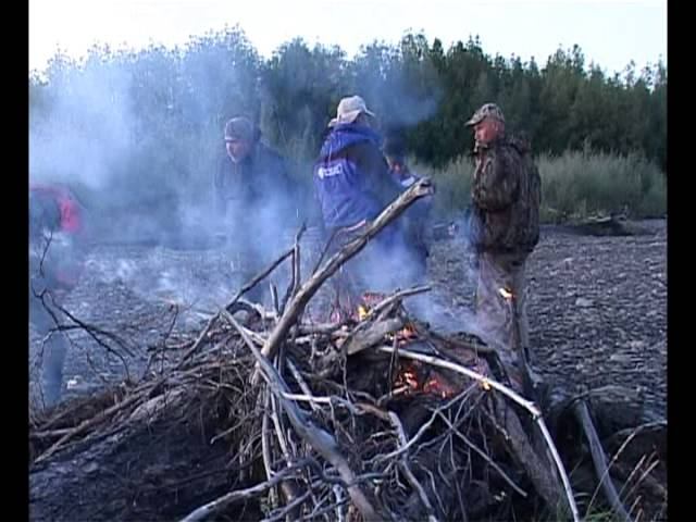 Анатолий Полотно - Огонечки