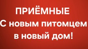 Приёмные/В последних сериях.