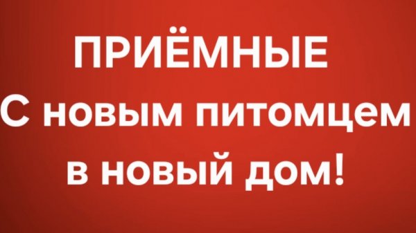 Приёмные/В последних сериях.