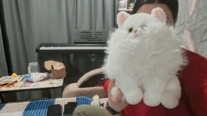 10-02-2026 самый лучший вечер в деревне словно весна пришла ы дом я счастлива