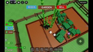 додо с дедушкой римом играем в вукты и римуля