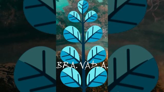 "Амур-река" альбом "Россия из окна" автор BRA.VAD.A. (Бравада) Copyright © Все права защищены.