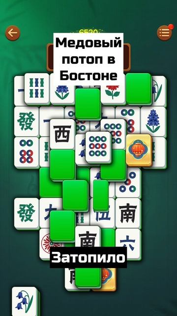 Медовый потоп в Бостоне