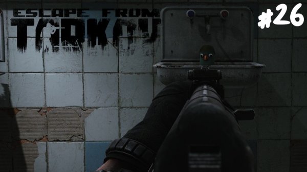 УТИНАЯ ОХОТА В ТАРКОВЕ! НАЧАЛО ИВЕНТА С УТКАМИ.