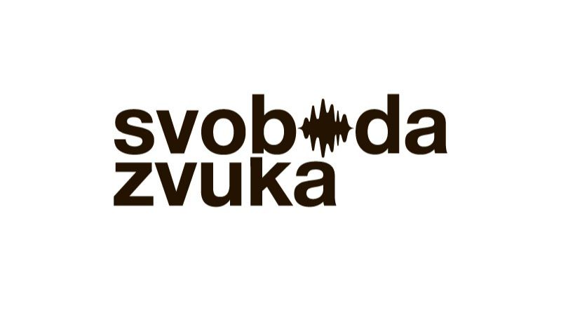 Дима Устинов в гостях радиошоу Svoboda Zvuka смотреть онлайн