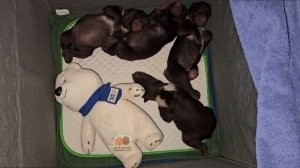 Было ➡️ стало!