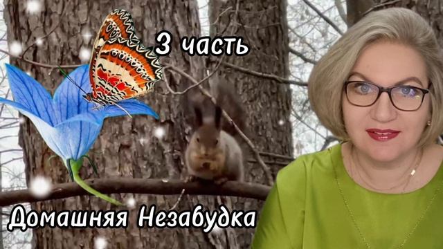 3 часть. Деньги 💰 не пахнут❗️Два мужика на балконе🤪❗️ смотреть онлайн